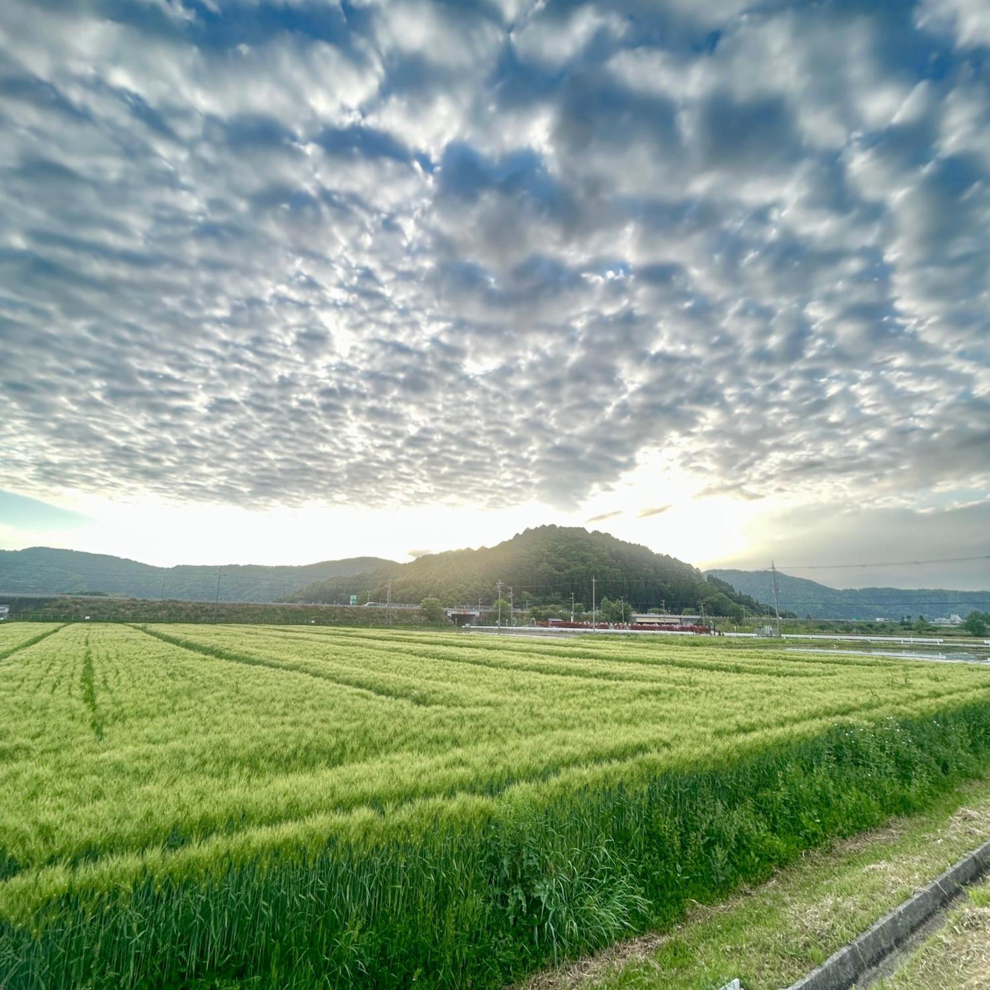 湖北 寺の宿-去-来-現ko-Rai-Gen Nagahama  Buitenkant foto